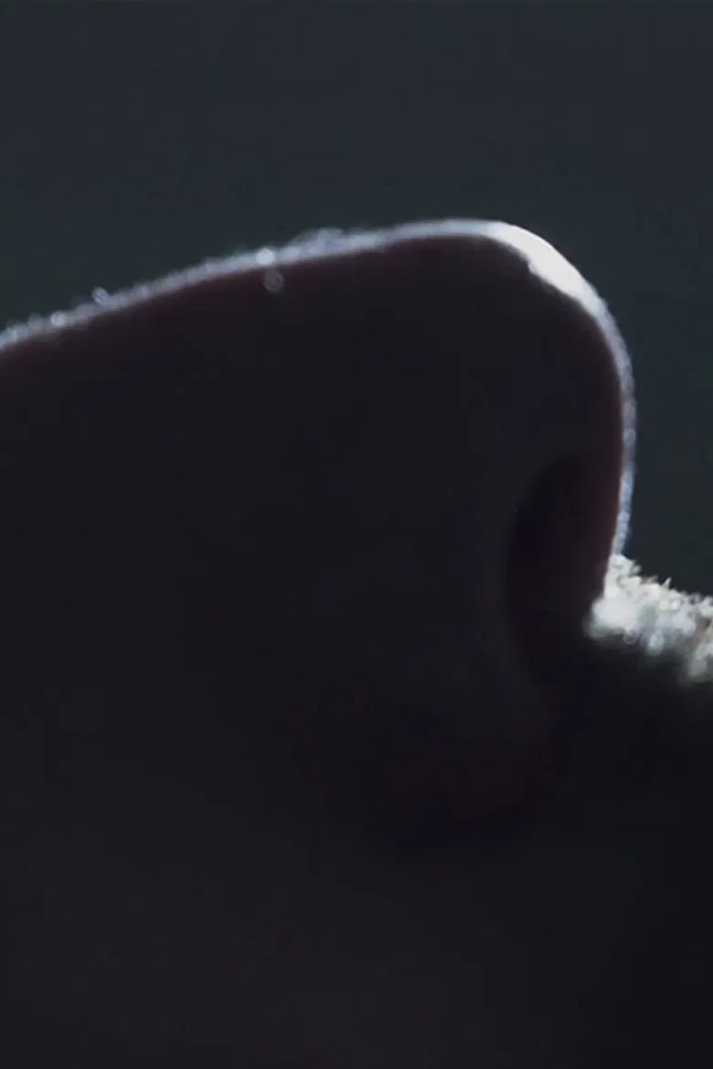 My Falling Sickness poster background