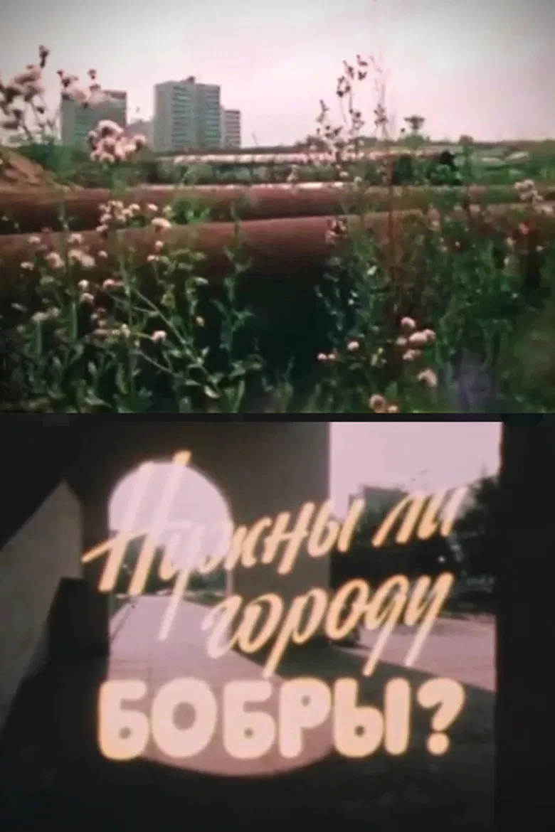 Does This Town Need Beavers? poster background