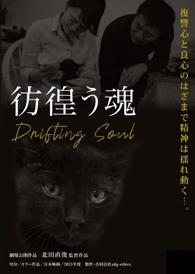 Drifting Soul poster background