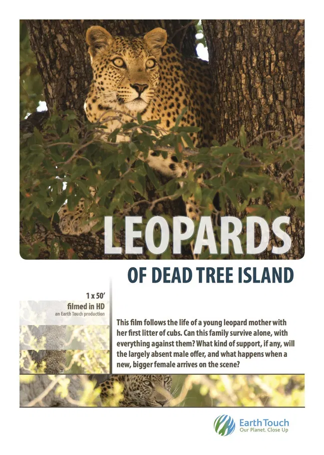 Leopards of Dead Tree Island poster background