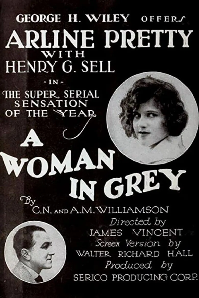 A Woman in Grey poster background