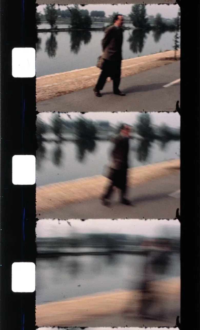 Effeuiller l'acanthe poster background