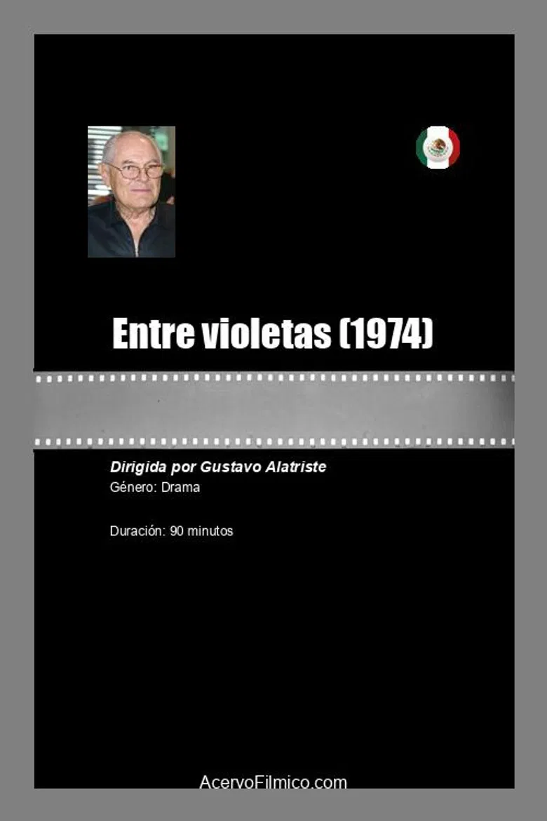 Entre violetas poster background