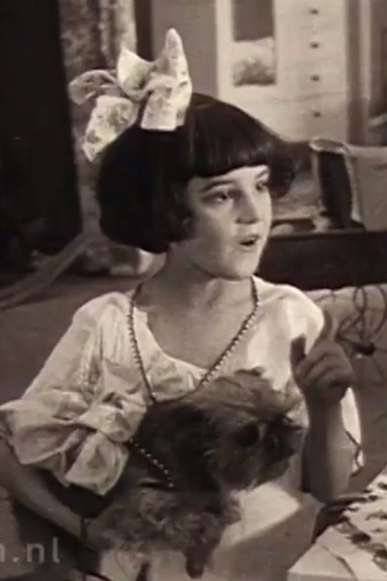 Sunshine poster background