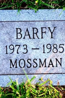 Julius Caesar Was Buried in a Pet Cemetery poster background