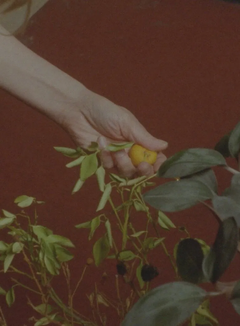 Barefoot Birthdays on Unbreakable Glass poster background