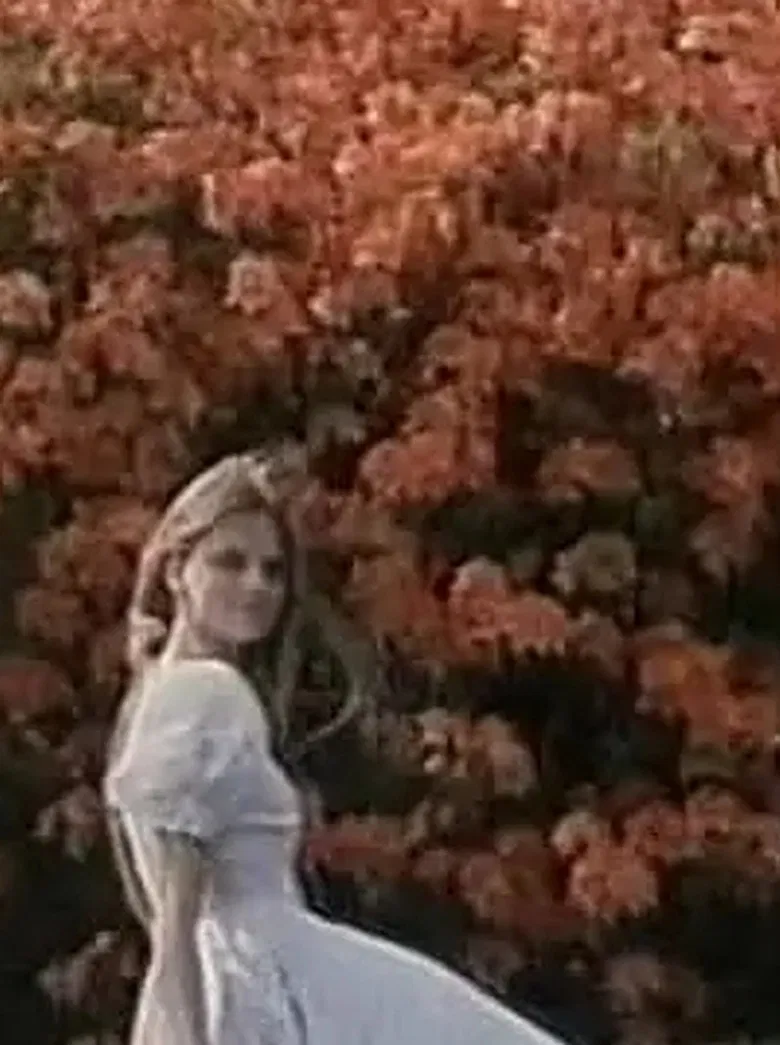 Lenz poster background