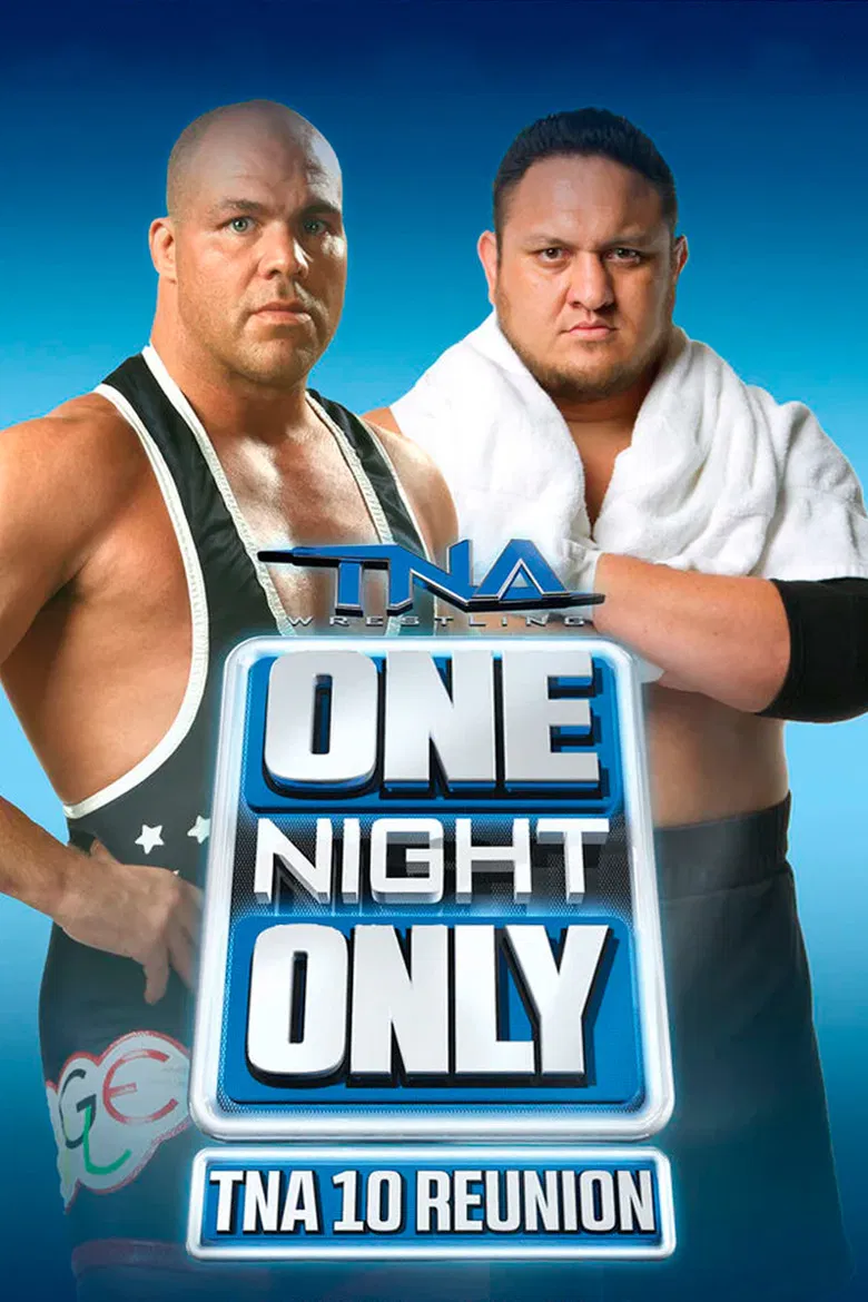 TNA One Night Only: 10 Reunion 2013 poster background