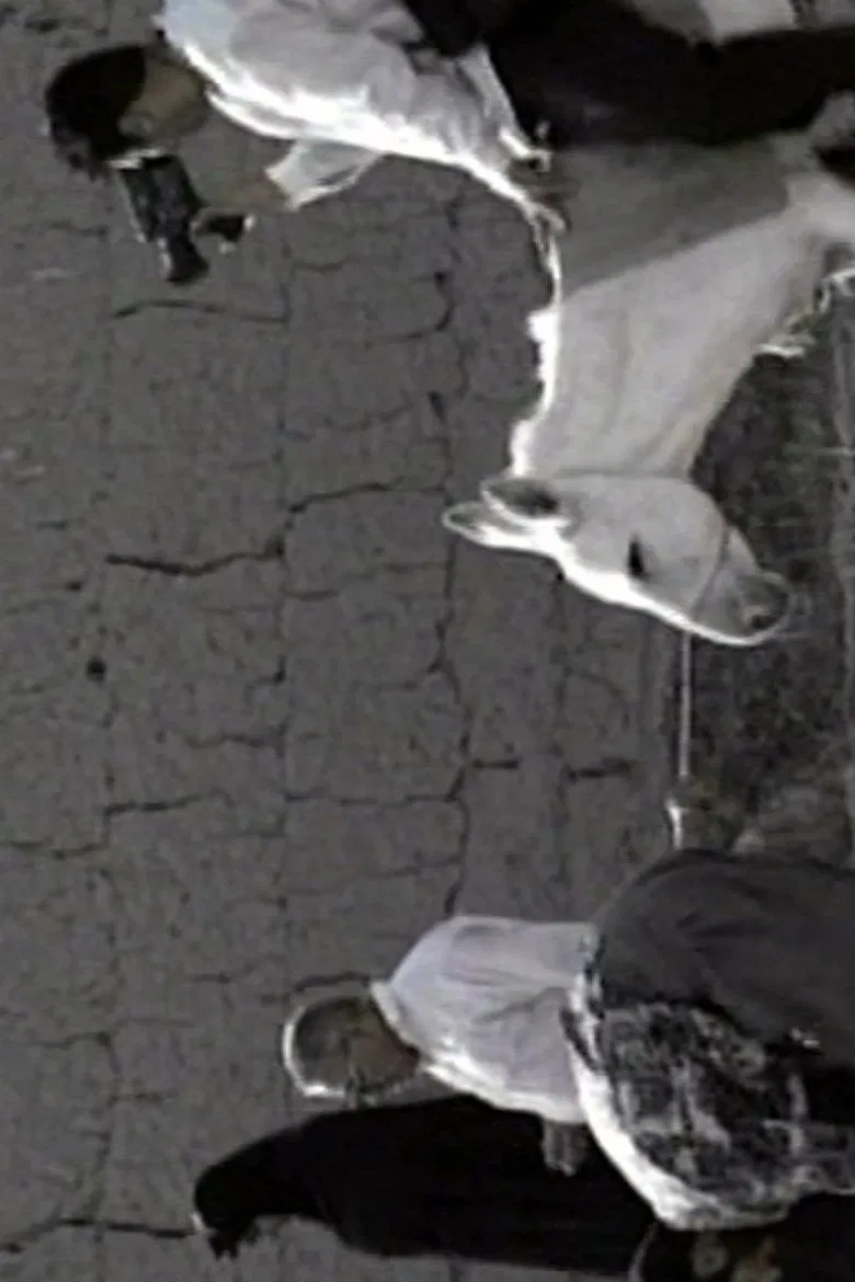 Trial poster background