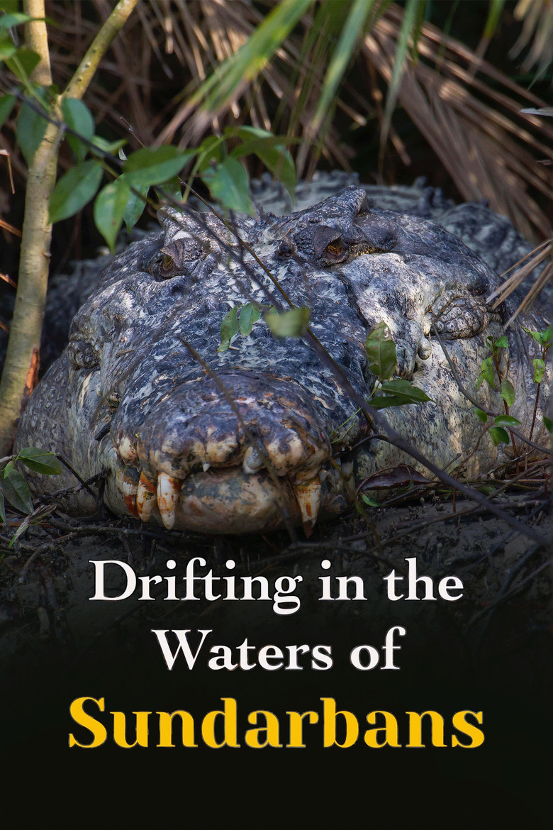 Drifting in the Waters of Sundarbans poster background