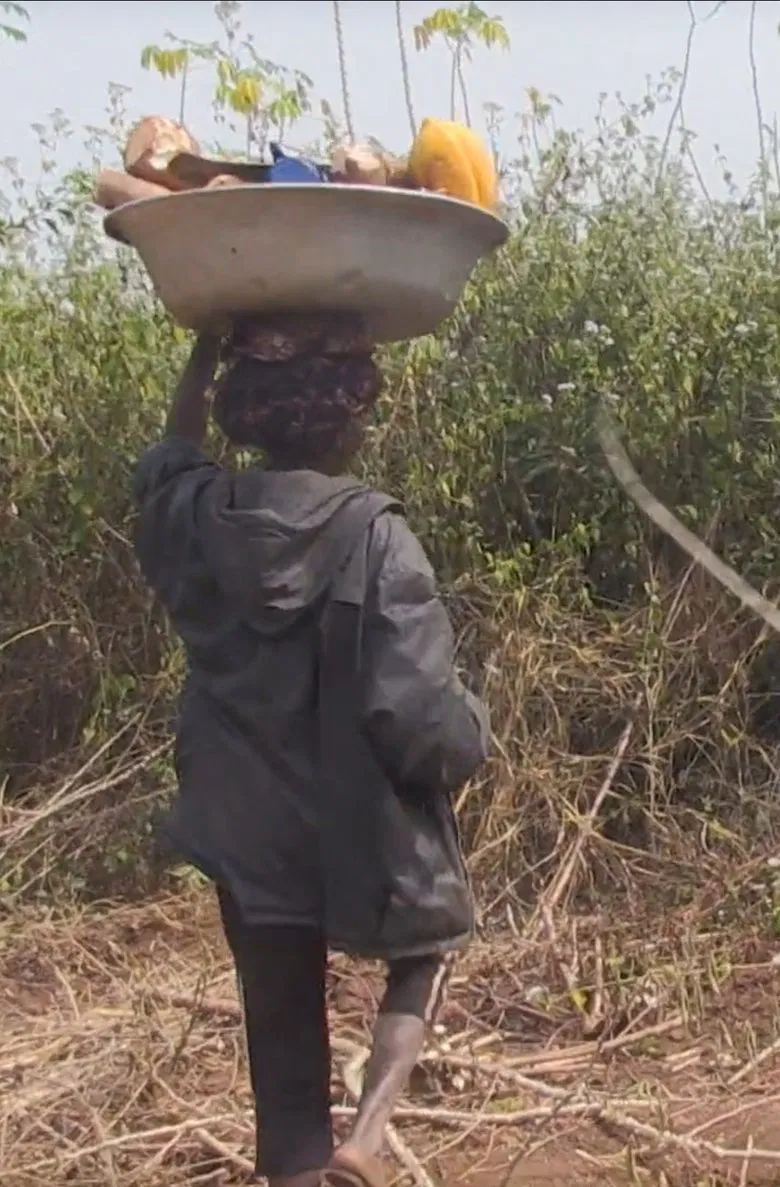 Lucie poster background