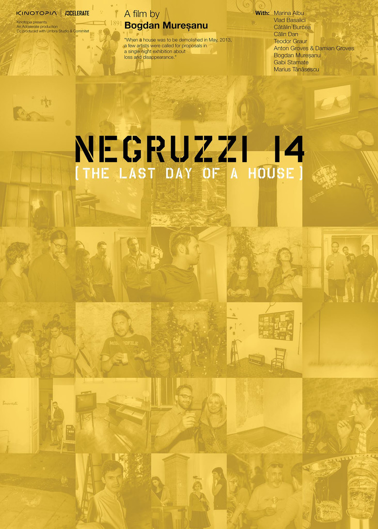Negruzzi 14 poster background