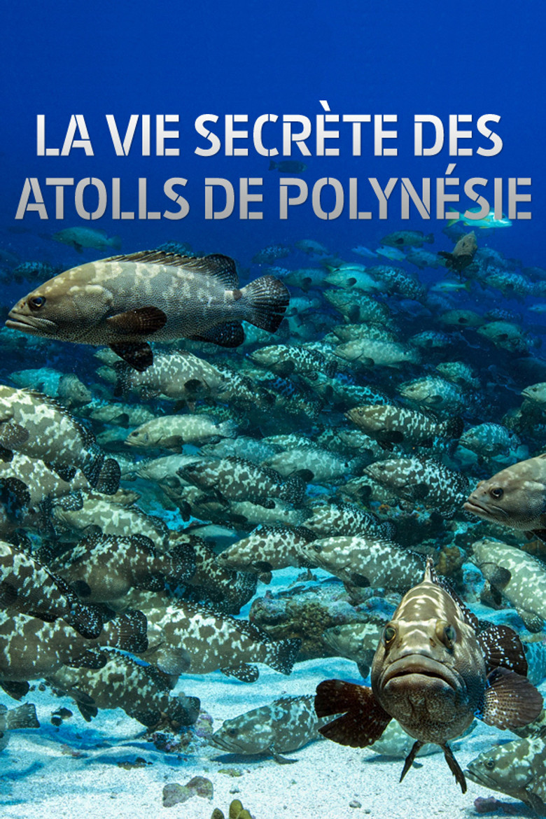 Surviving the Lagoon poster background