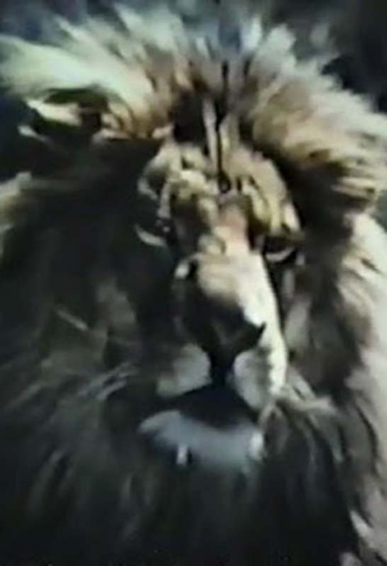 The Veldt poster background