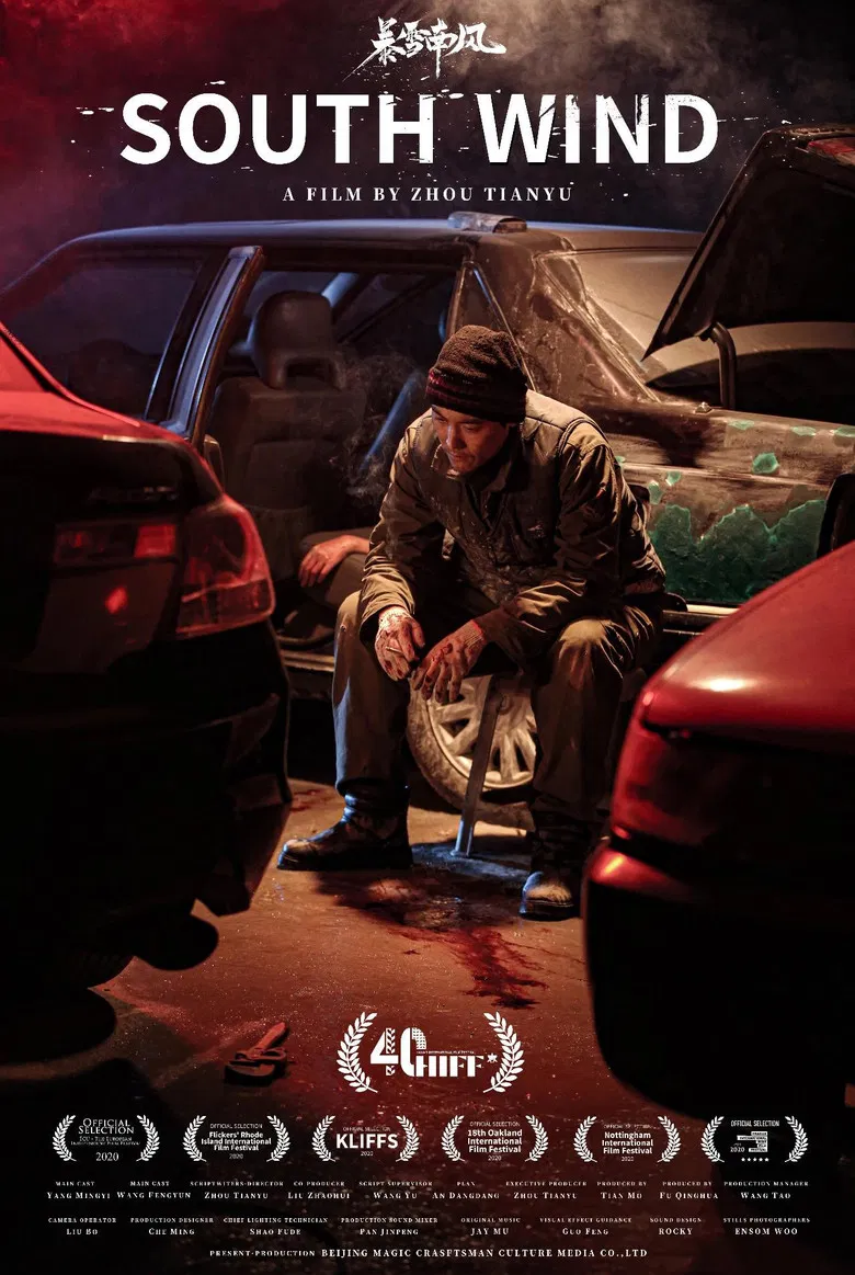 暴雪南风 poster background