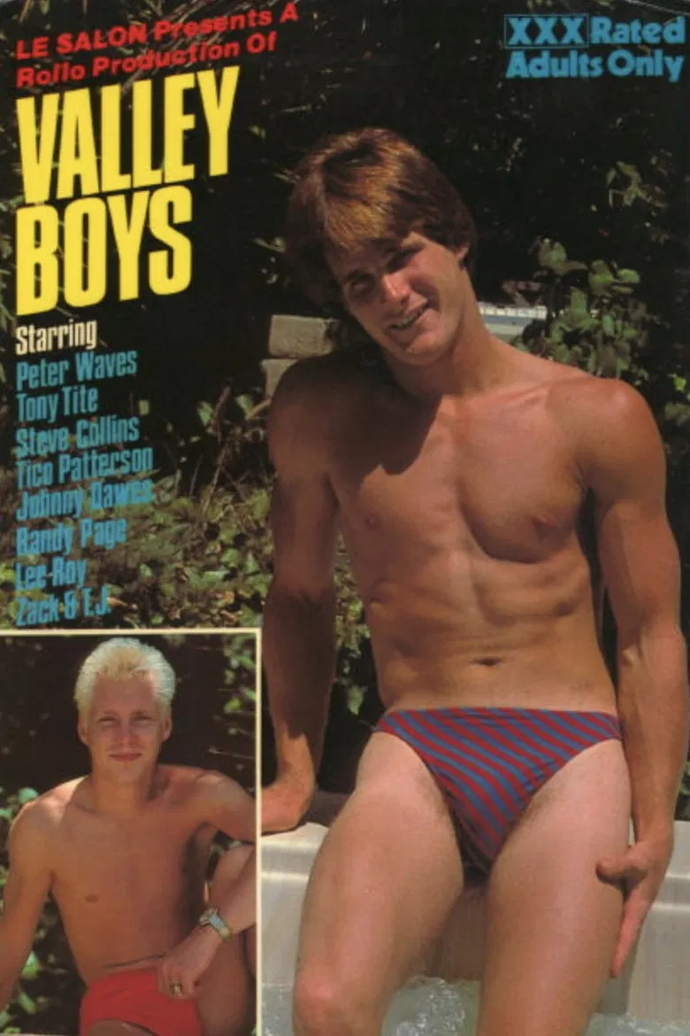 Valley Boys poster background