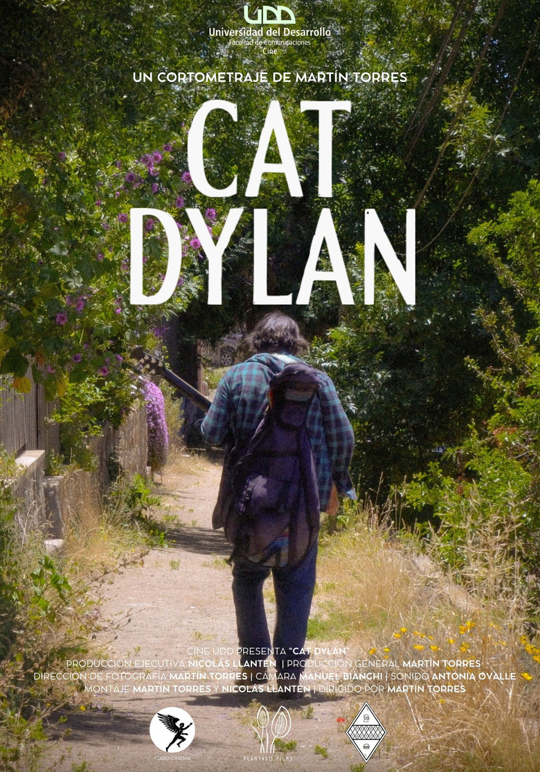 Cat Dylan poster background