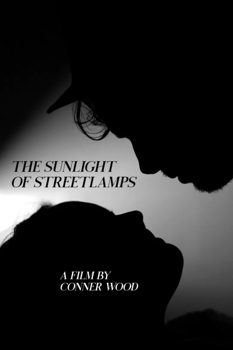 The Sunlight of Streetlamps poster background