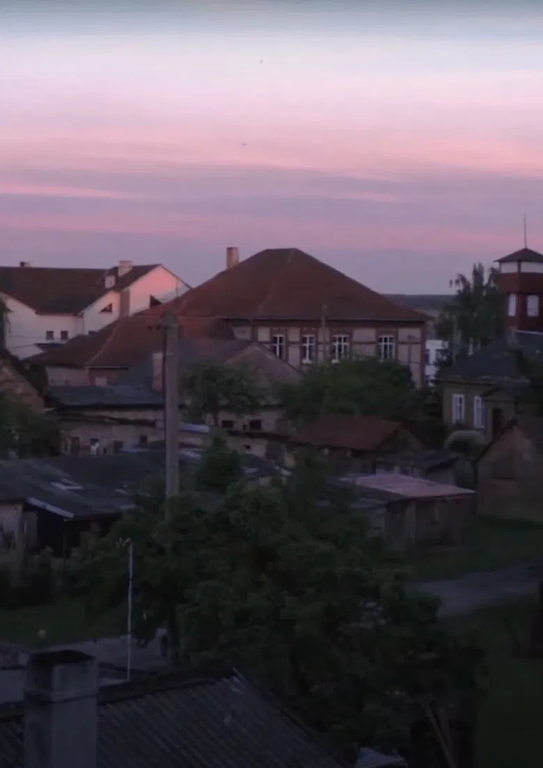 Peafowls Flew Away and Took My Thoughts With Them poster background