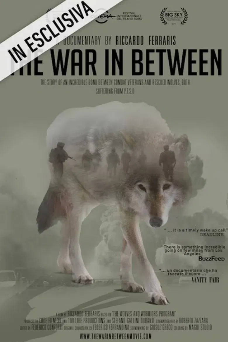 The War In Between poster background