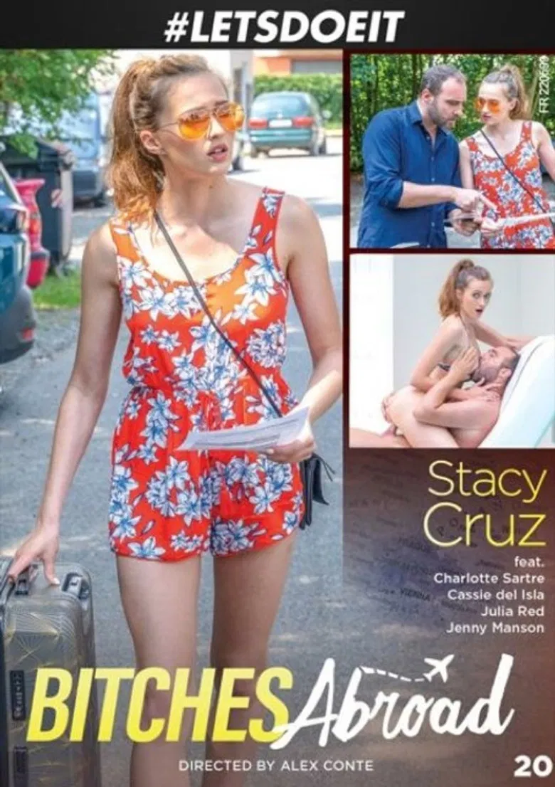 Bitches Abroad 20 poster background