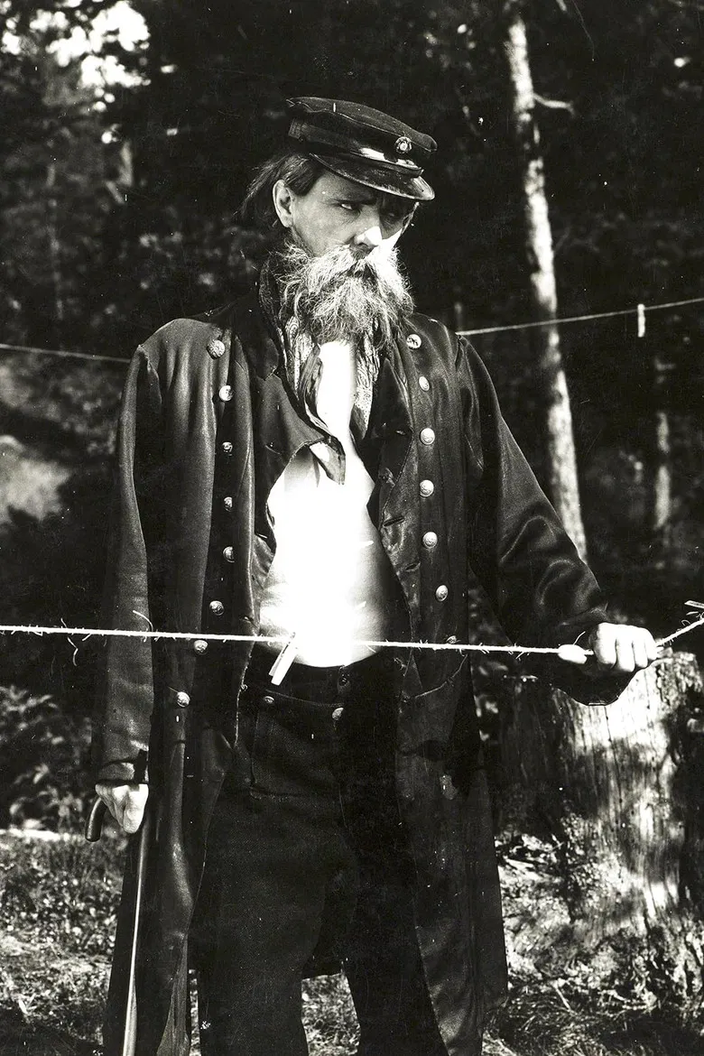 Den glade enke i Trangvik poster background