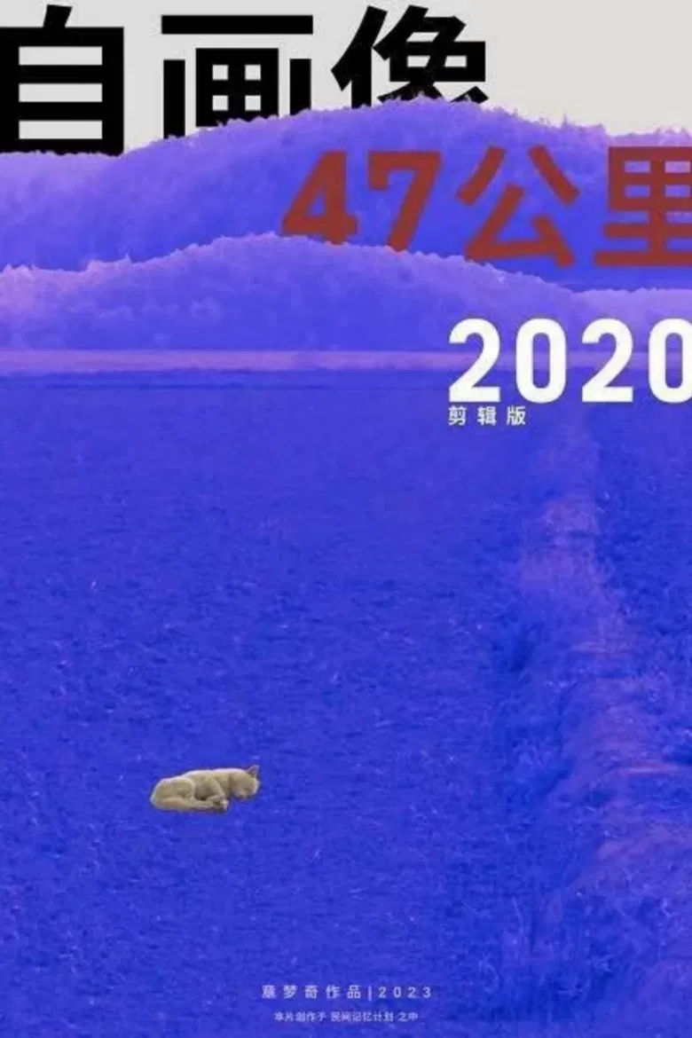 Self-Portrait: 47 KM 2020 poster background
