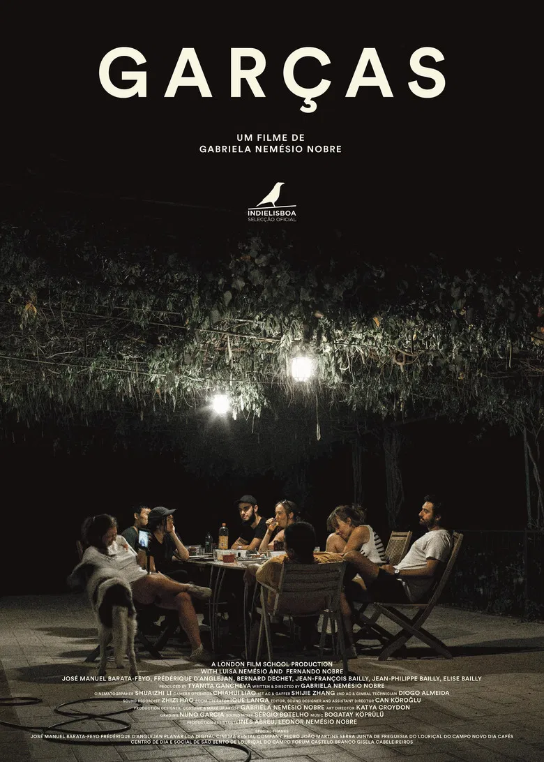 Egrets poster background