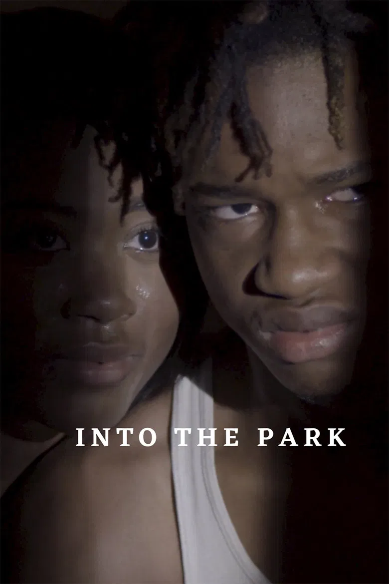 Into the Park poster background