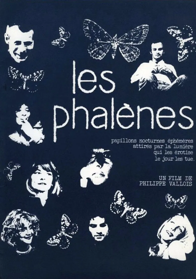 Les phalènes poster background