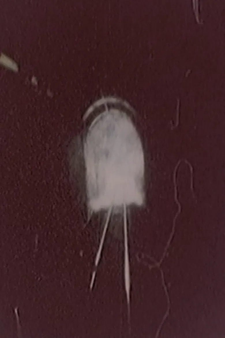 Hibaku Ningen X poster background