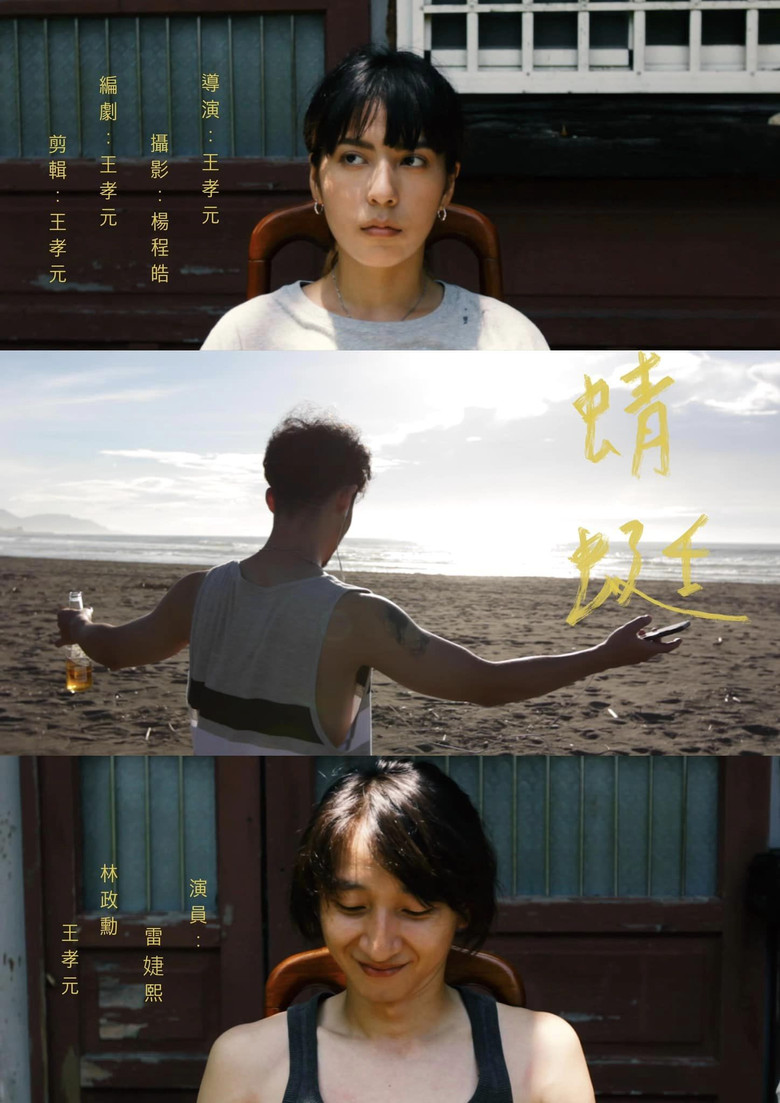 Dragonfly poster background