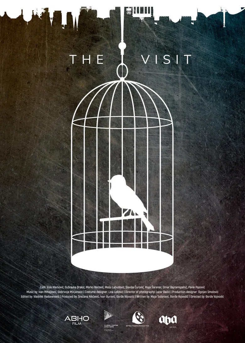 The Visit poster background