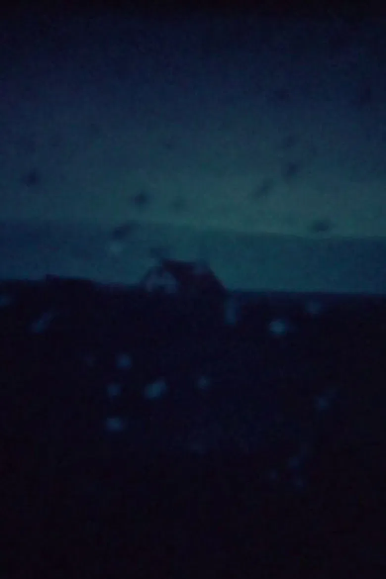 Kaldalon poster background