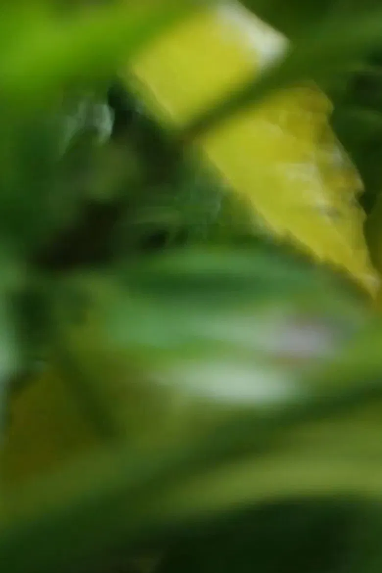 Medicine Cabinet poster background