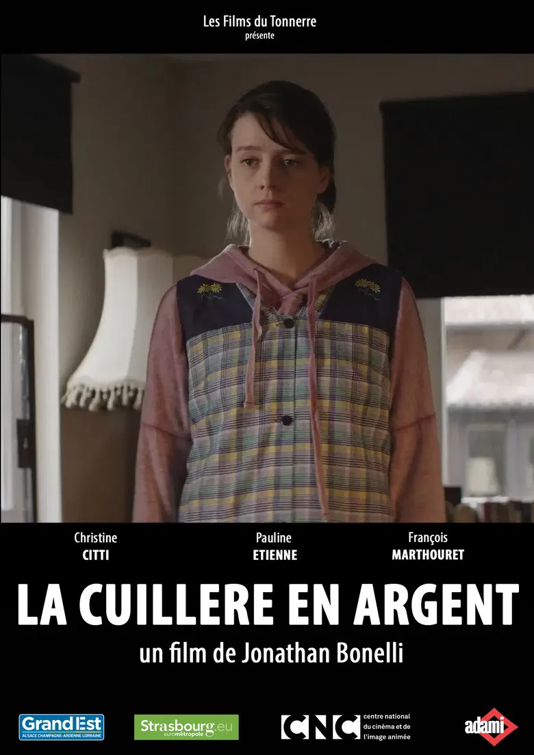 La cuillère en argent poster background