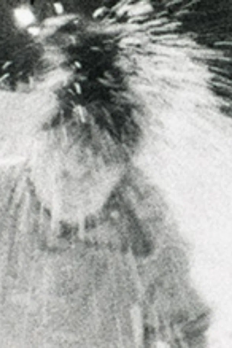 Moi et le Boff Zen poster background