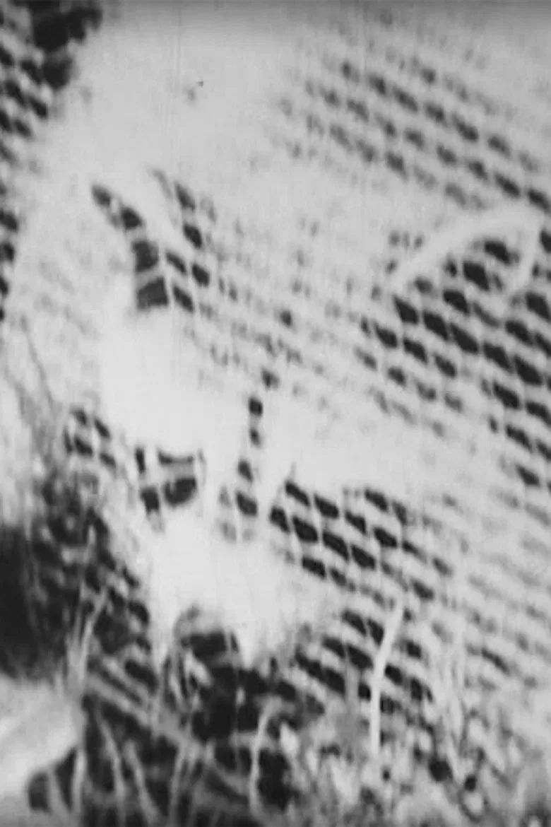 Imitation of South poster background