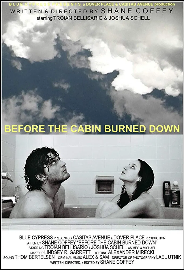 Before the Cabin Burned Down poster background