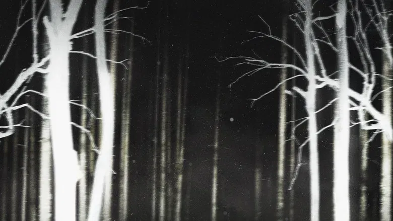 The abandoned structures of Shelby Oaks