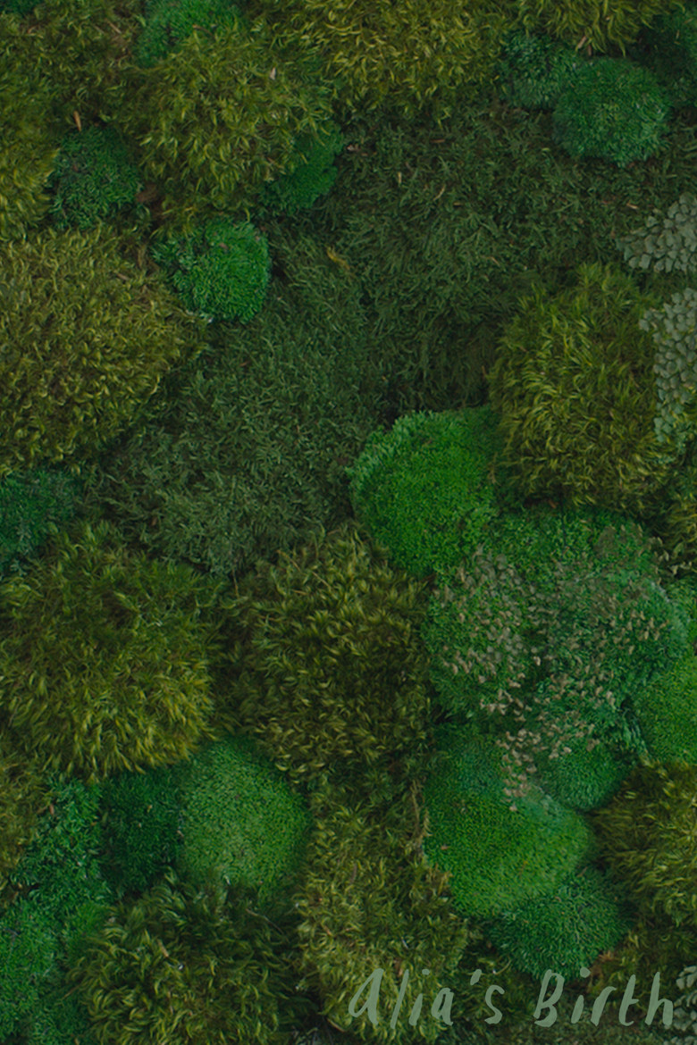 Alia's Birth poster background