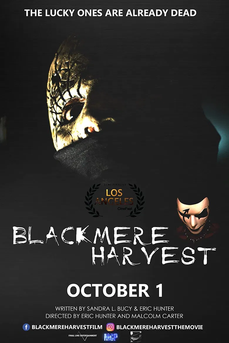 Blackmere Harvest poster background