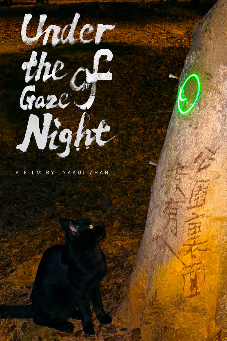 Under the Gaze of Night poster background