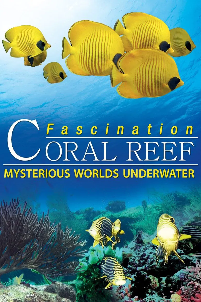 Fascination Coral Reef: Mysterious Worlds Underwater poster background