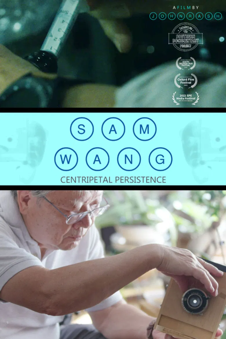 Sam Wang: Centripetal Persistence poster background