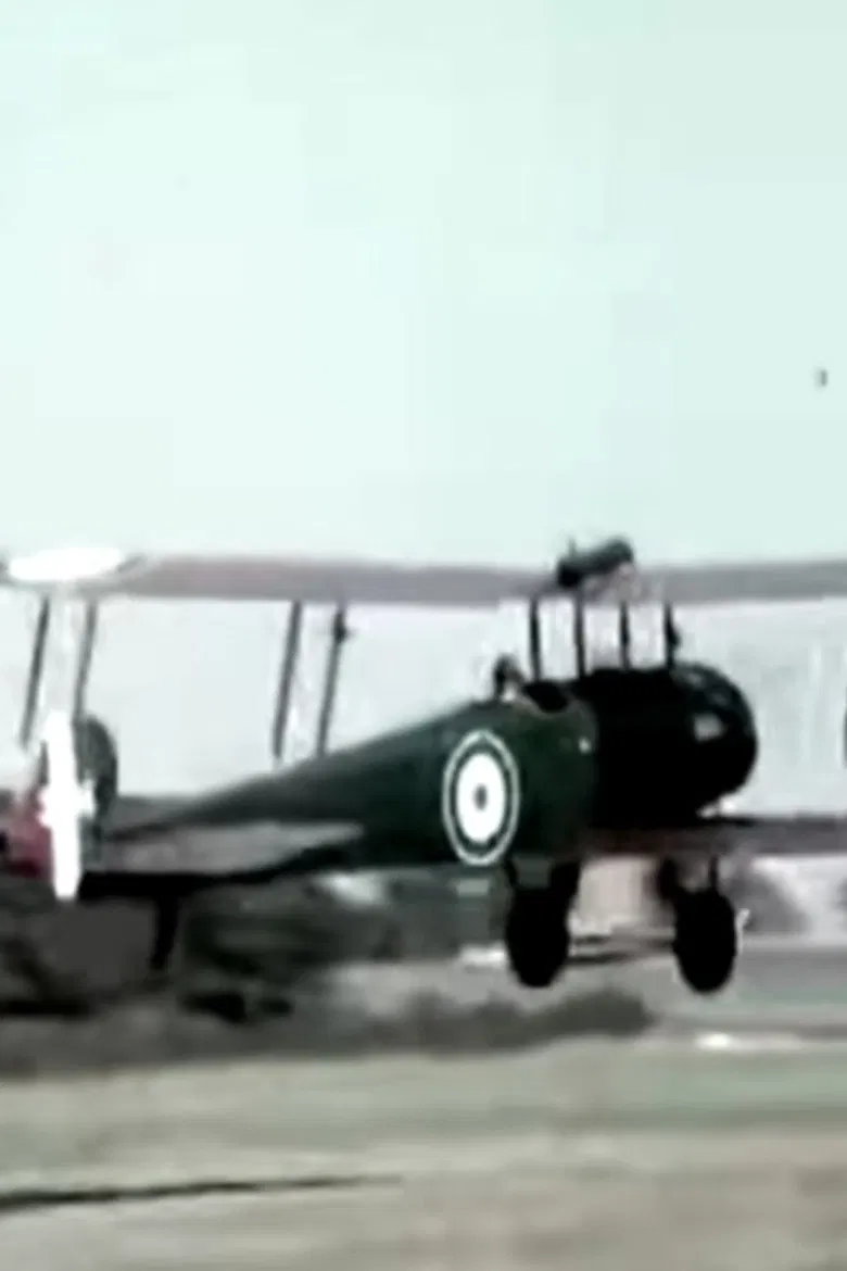 The Wind in the Wires poster background