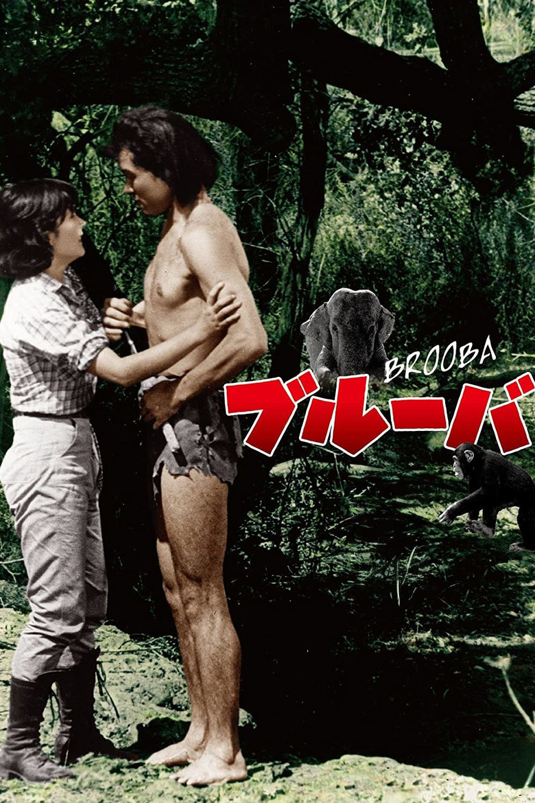 Brooba poster background