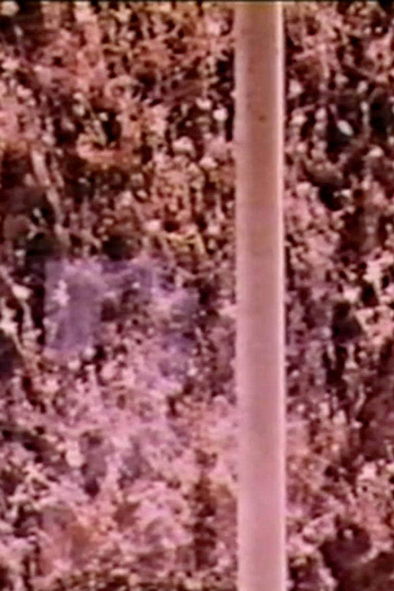 Windowmobile poster background