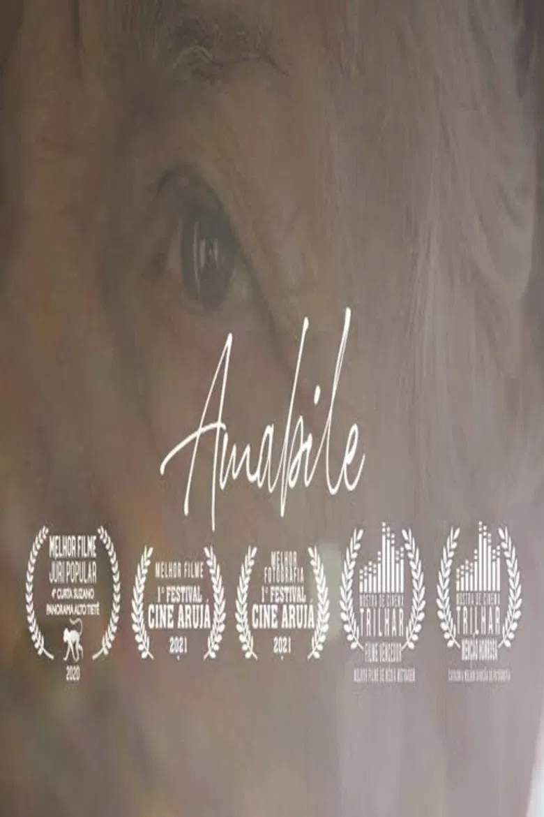 Amabile poster background