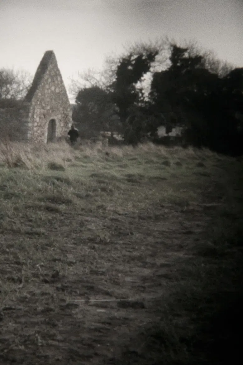 Good Evening poster background